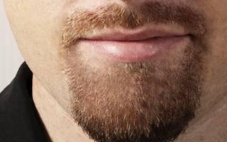 Barba volta à moda com toque de charme